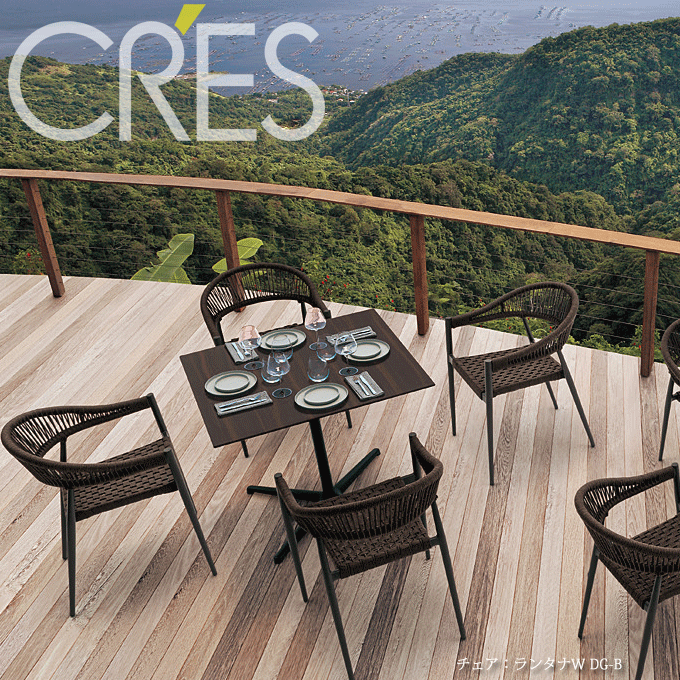 �K�[�f���`�F�A�@�����^�iW�@�g�p��