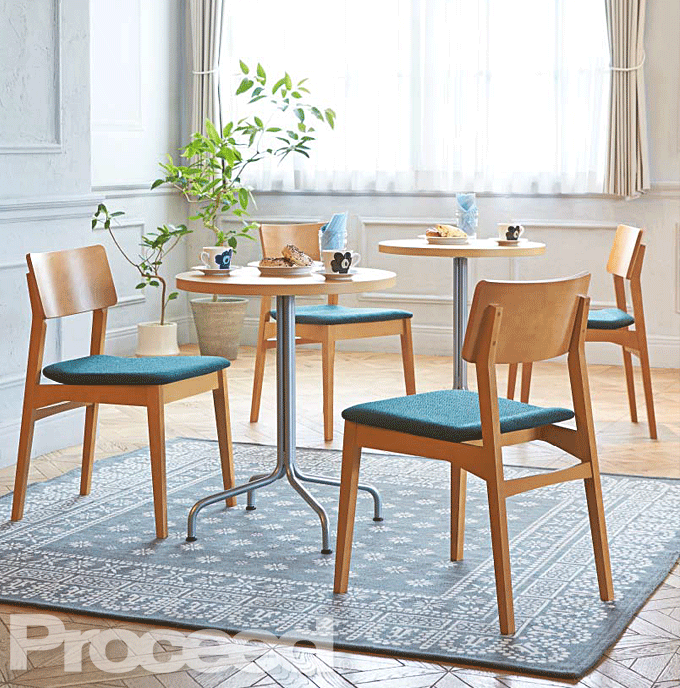 �ؐ��֎q �z�e�� ���X�g�����`�F�A �R���g �v���V�[�h �Ɩ��p�Ƌ�